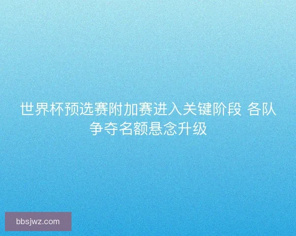 世界杯预选赛附加赛进入关键阶段 各队争夺名额悬念升级